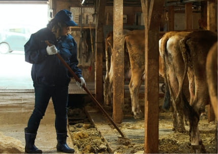 牛舎の掃除をしている写真,竹田牧場